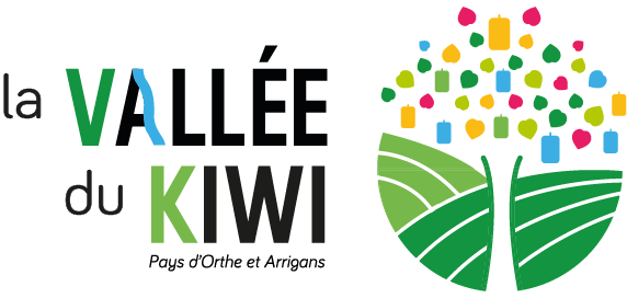 logo kiwi couleur